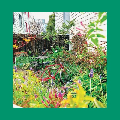 The Reds, Pinks & Purples/Unwishing Well