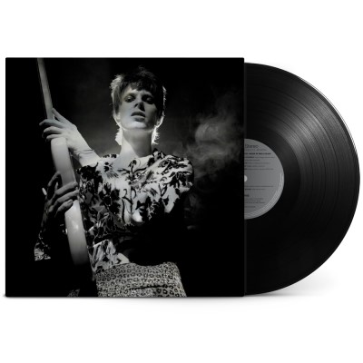 David Bowie/Rock 'n' Roll Star!