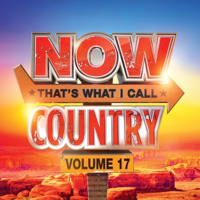 Now That's What I Call Country/NOW Country Vol. 17