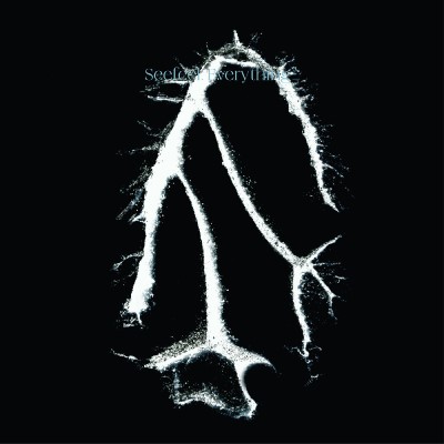 Seefeel/Everything Squared