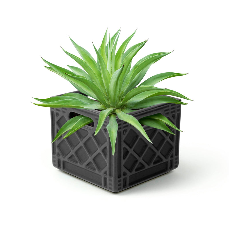 PLANTER/FANCY PLANTS - PLANTER-MILK CRATE
