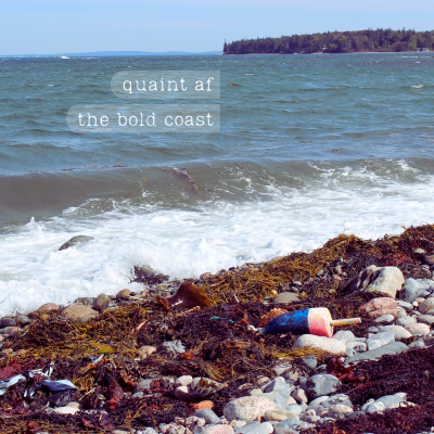 Quaint AF/The Bold Coast
