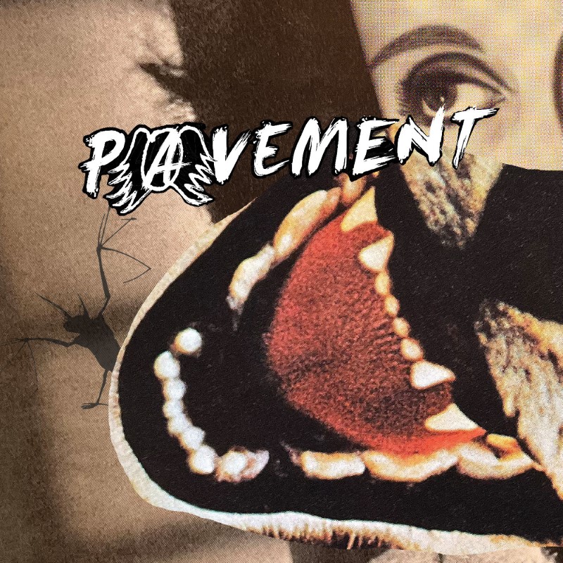 Pavement/Hecklers Choice: Big Gums and Heavy Lifters - A Pavement Collection