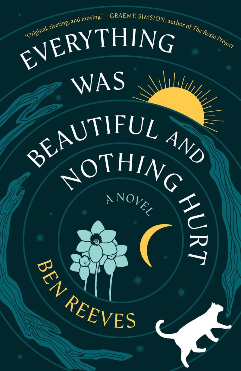 Ben Reeves/Everything Was Beautiful and Nothing Hurt