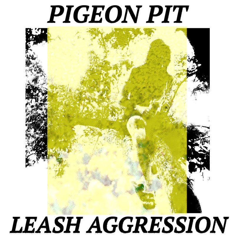 Pigeon Pit/Leash Aggression