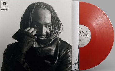 Thundercat/Distracted (RED VINYL)@w/ download card