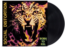 Social Distortion/Born To Kill
