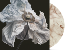 Quicksand/Bring On The Psychics (Coffee Swirl Vinyl)@Indie Exclusive