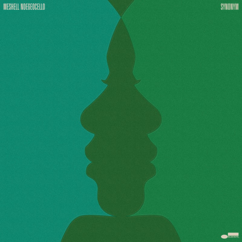 Meshell Ndegeocello/Synonym