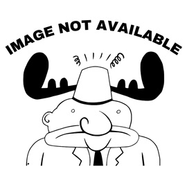 Daft Punk/Alive 1997@Import-Fra