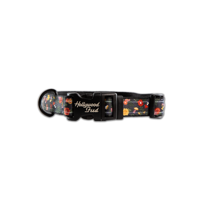 Ohio Made Nylon Dog Collar - Floral Mushroom