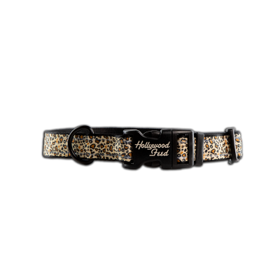 Ohio Made Nylon Dog Collar - Leopard