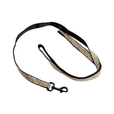Ohio Made Nylon Dog Leash - Leopard