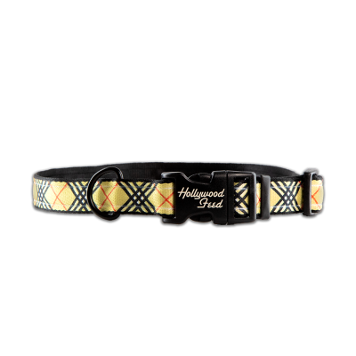 Nylon Dog Collar