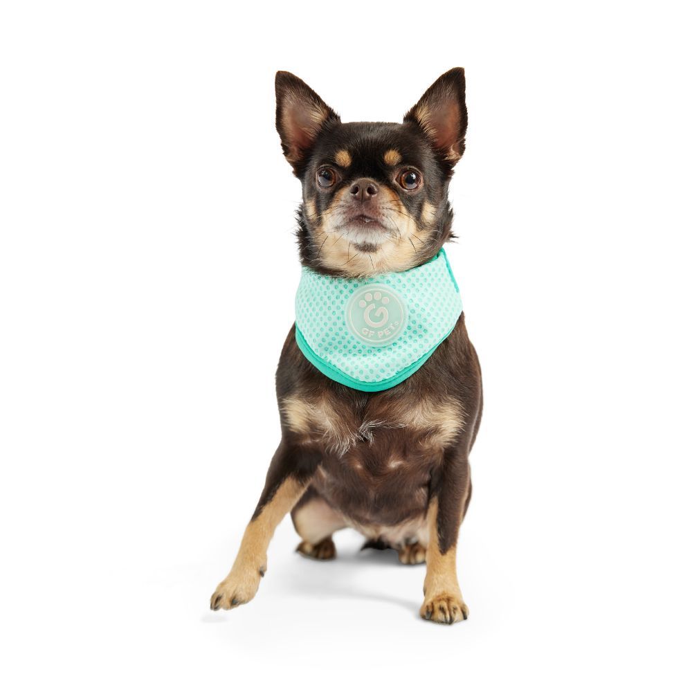 GF Pet ICE-BAND® Dog Cooling Bandana - Adjustable Lightweight Heat Evaporative Cooling Collar