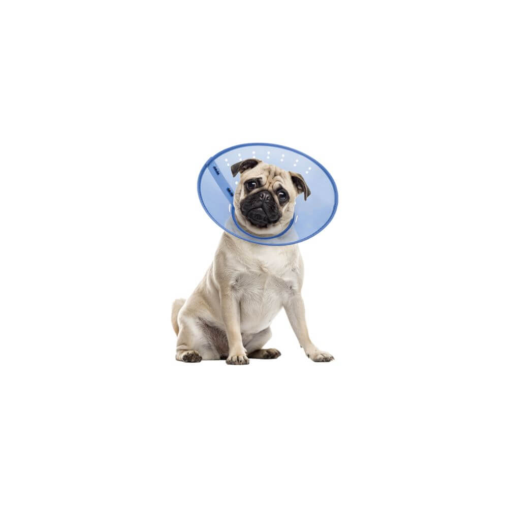 Calm Paws Calming E-Collar for Cats and Dogs - Adjustable Translucent Recovery Cone