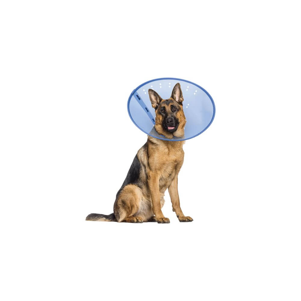 Calm Paws Calming E-Collar for Cats and Dogs - Adjustable Translucent Recovery Cone