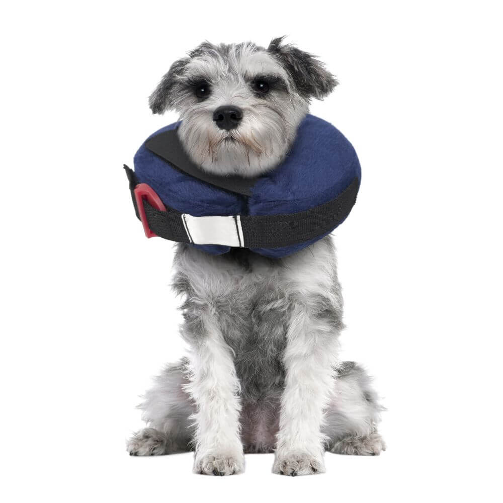 Calm Paws Protective Inflatable Recovery Collar for Dogs - Comfortable Anti Lick Wound Protection & Calming Support