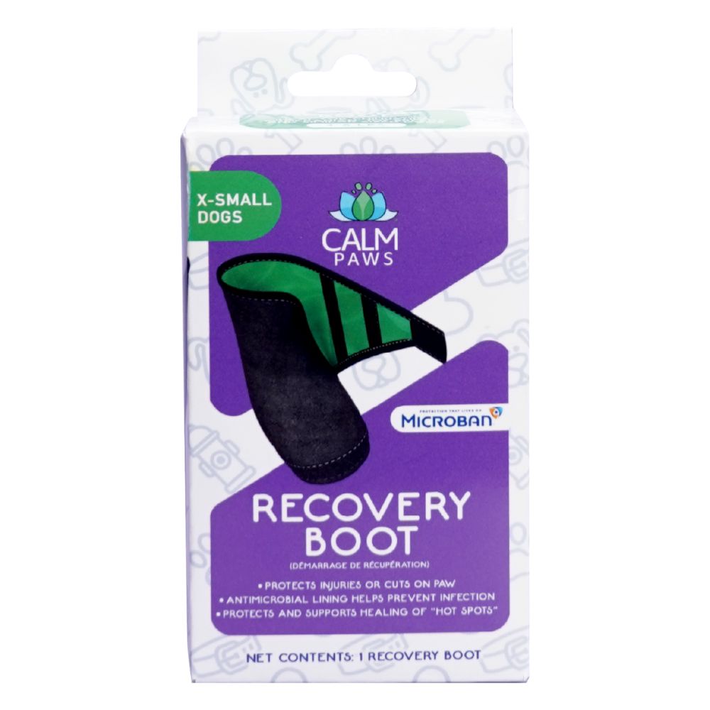 Calm Paws Protective Recovery Boot for Dogs - Antimicrobial Paw Guard for Injury & Wound Healing