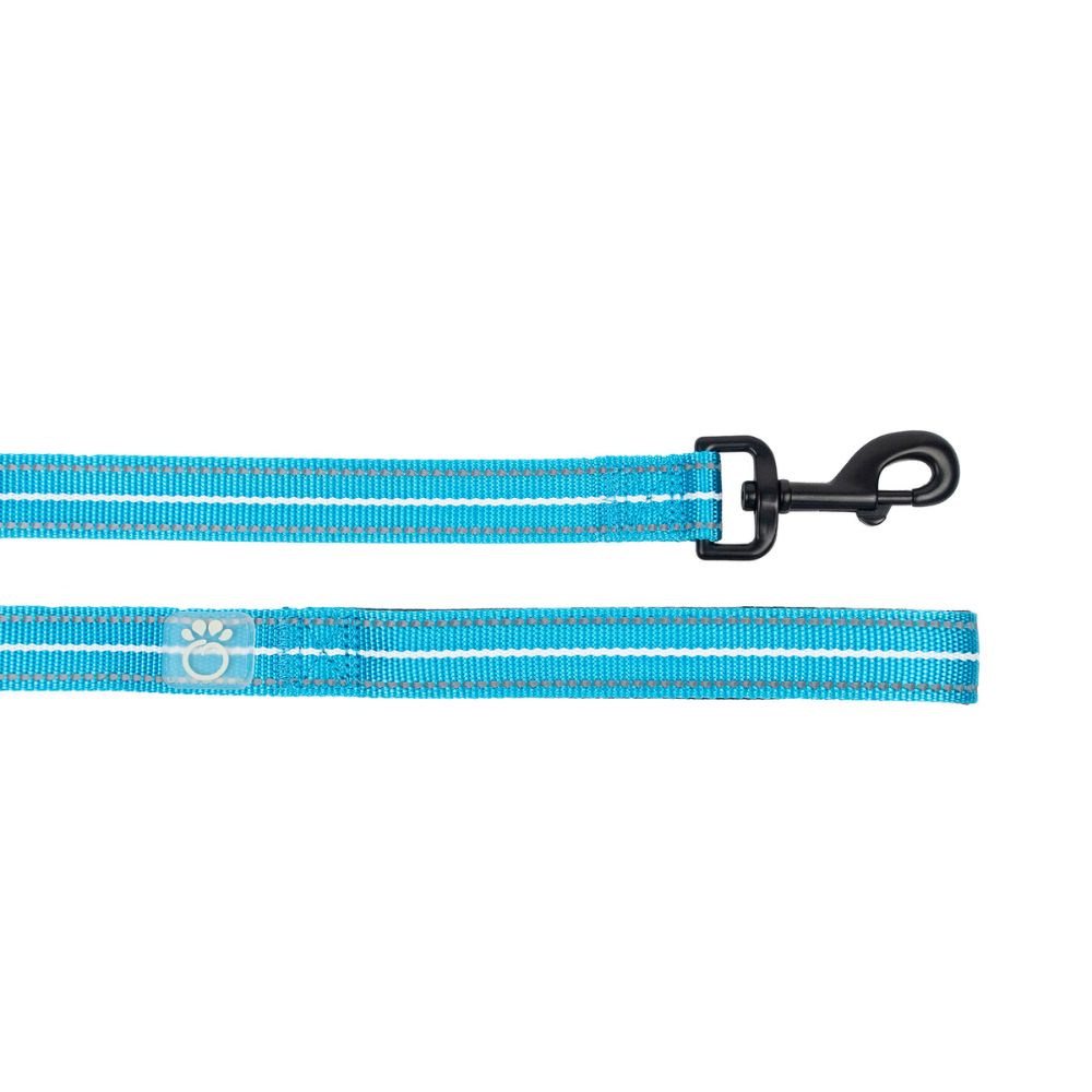 GF Pet Reflective Dog Leash - High Visibility & Durable Nylon - Neon Blue