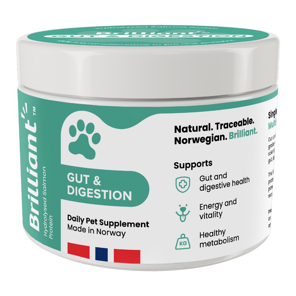 Brilliant Gut & Digestion Daily Pet Supplement - Natural Salmon Peptide Dog Food Powder for Immune & Gut Health