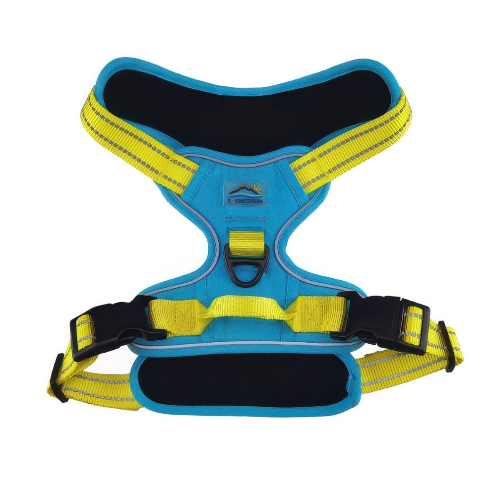 Doggie Design Venture Paw No Pull Dog Harness - Water Resistant Adventure Gear with Traffic Handle - Sun Chaser Blue