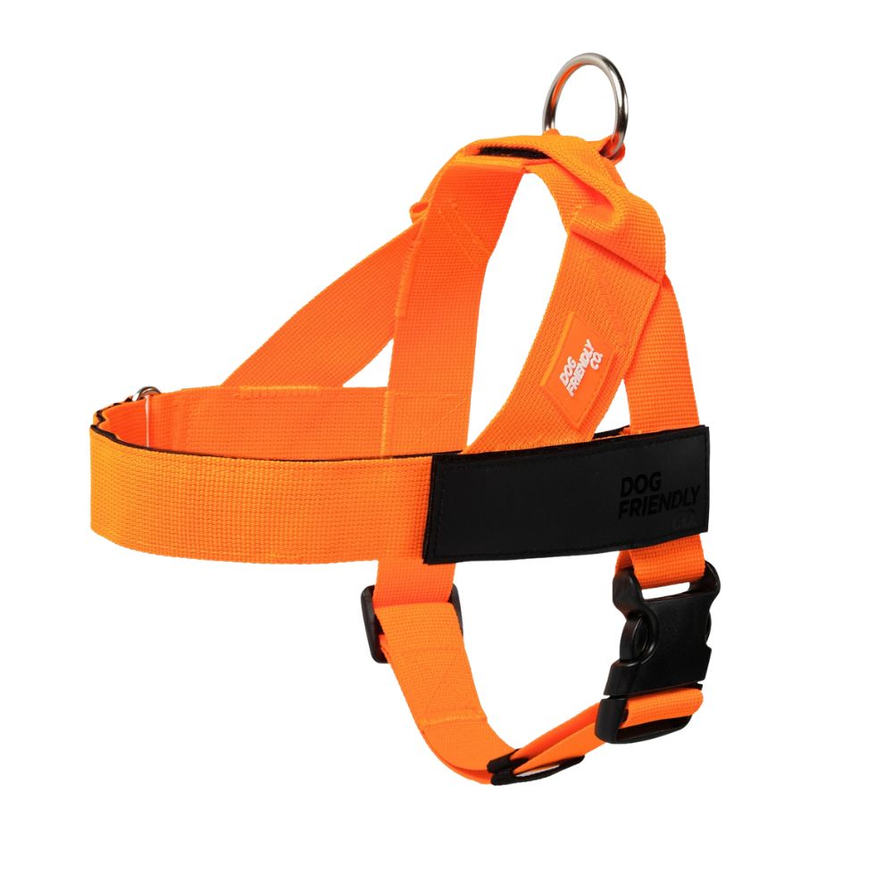 Dog Friendly Co. Dog Harness - One Click Buckle, Adjustable & Breathable - Orange