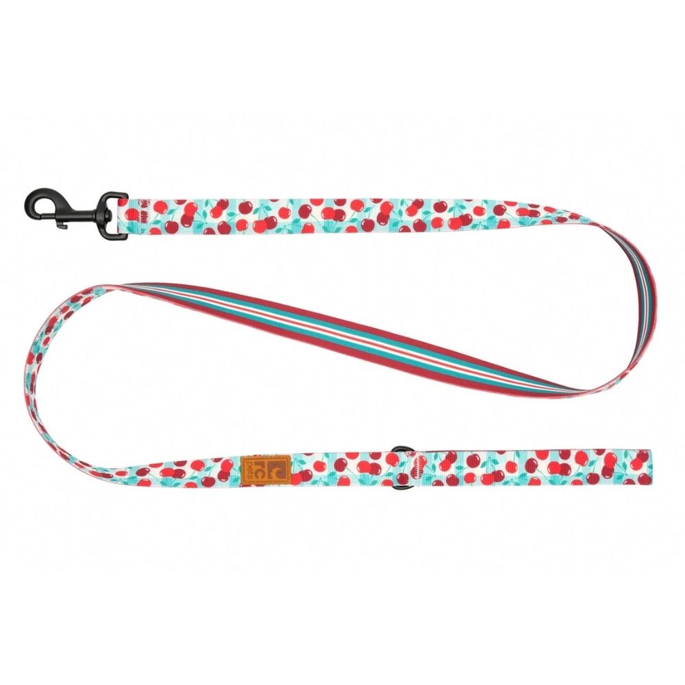 RC Pets Eco Friendly Dog Leash - Lightweight Recycled Webbing & Rust Resistant Hardware - Cherry Picnic/Orchard Stripe