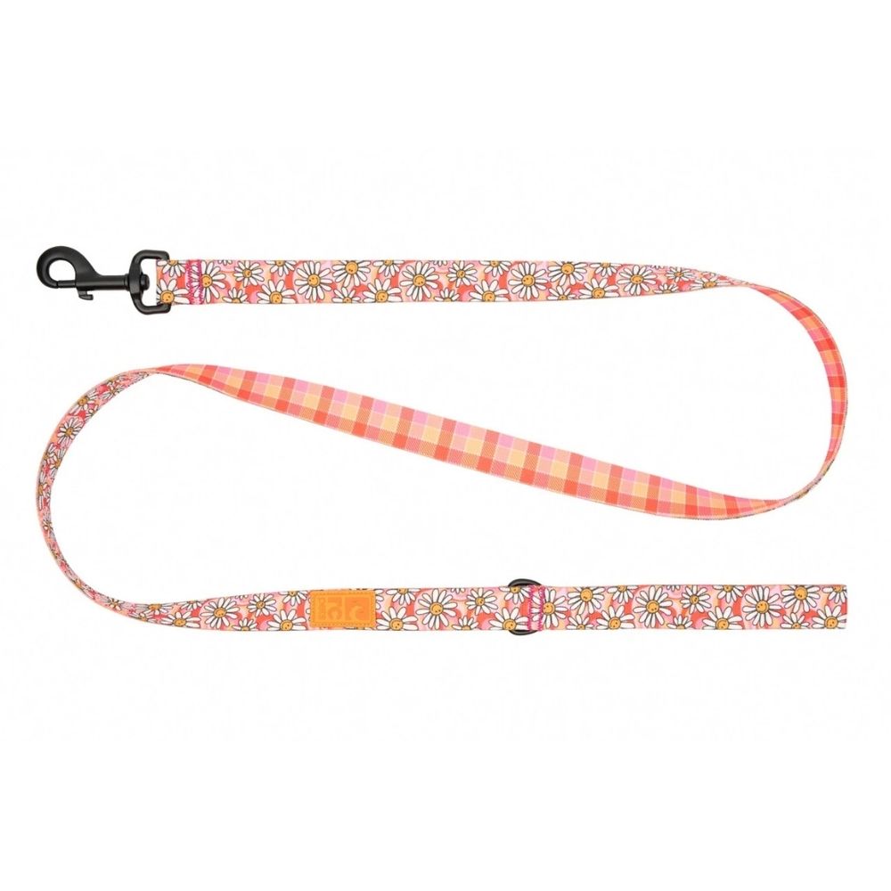 RC Pets Eco Friendly Dog Leash - Lightweight Recycled Webbing & Rust Resistant Hardware - Daisy Joy/Gleeful Gingham