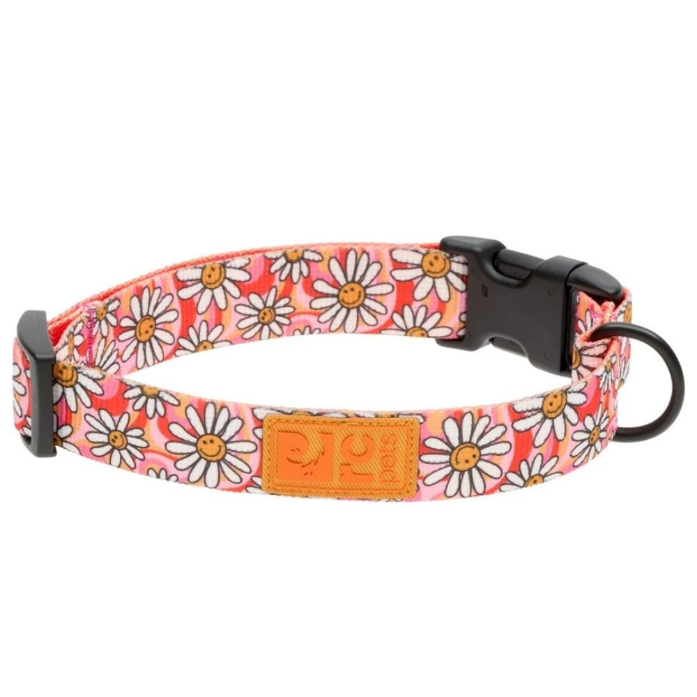 RC Pets Eco Friendly Dog Collar - Lightweight Recycled Webbing & Rust Resistant Hardware - Daisy Joy