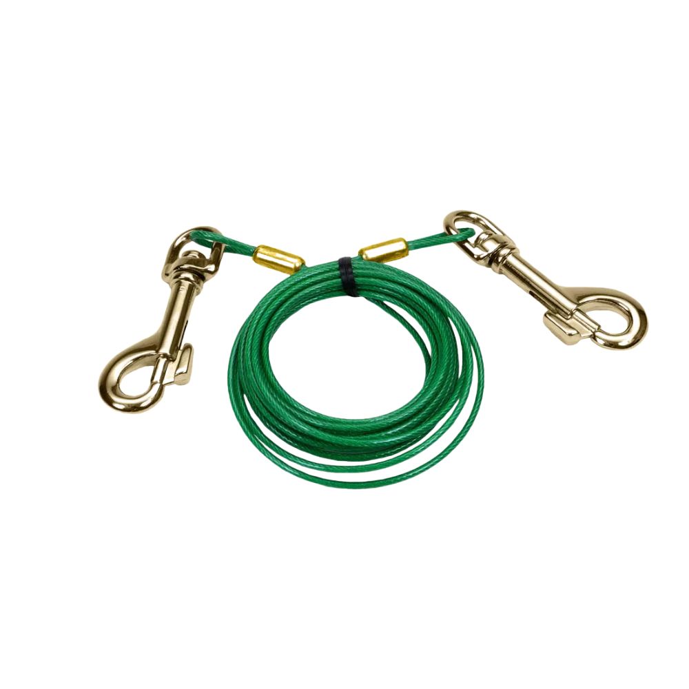 Coastal - Puppy Tie Out – Rust Resistant & Strong Cable – Secure & Durable