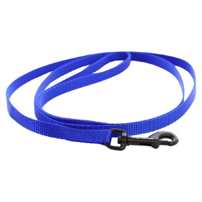 Ohio Made Nylon Dog Leash - Blue