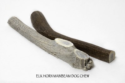 Ross Taylor Elkhorn - Mainbeam
