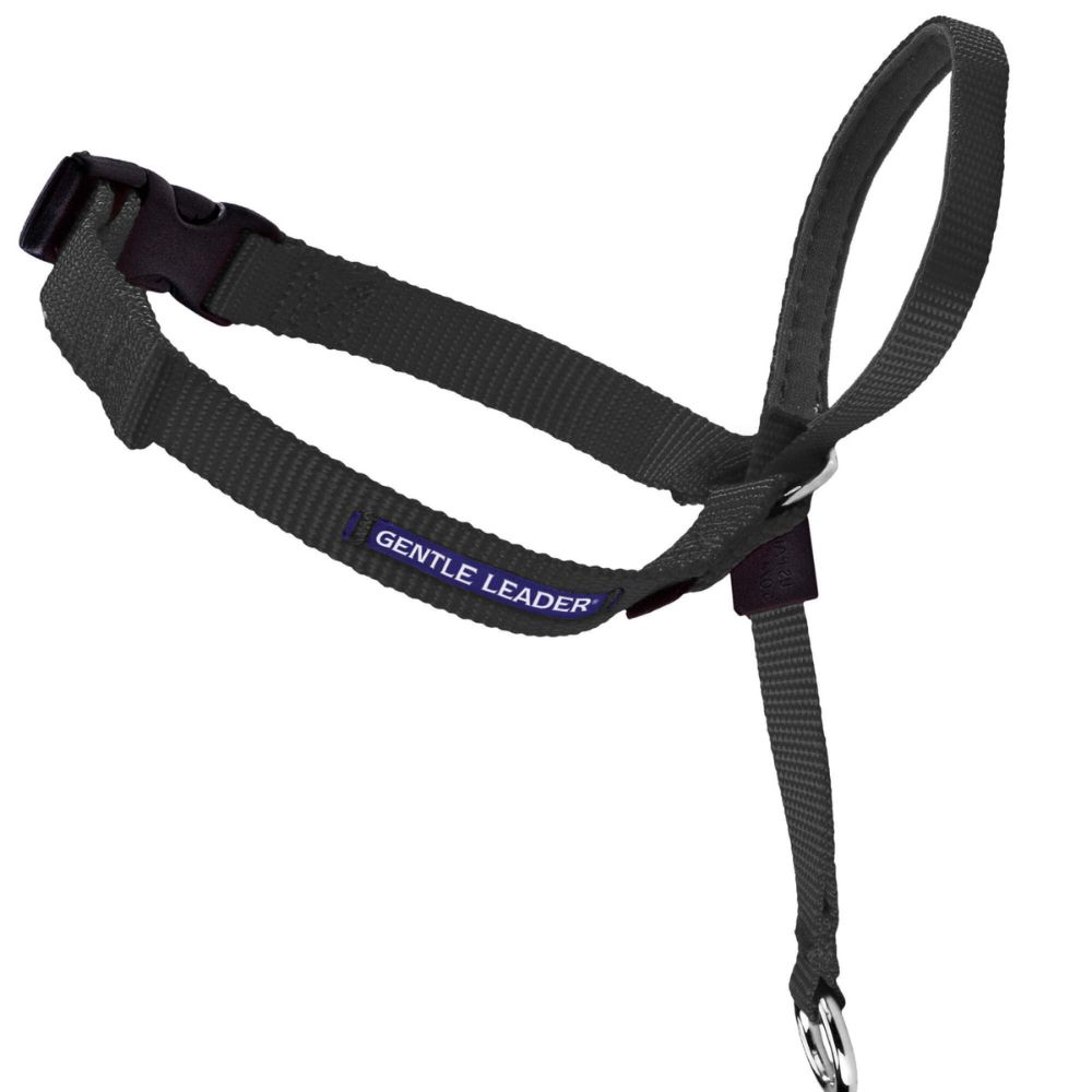 PetSafe Gentle Leader® No Pull Dog Headcollar – Adjustable, Comfortable & Vet Recommended for Better Leash Control
