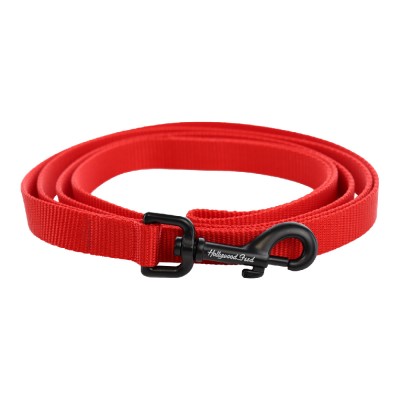 Nylon Dog Leash