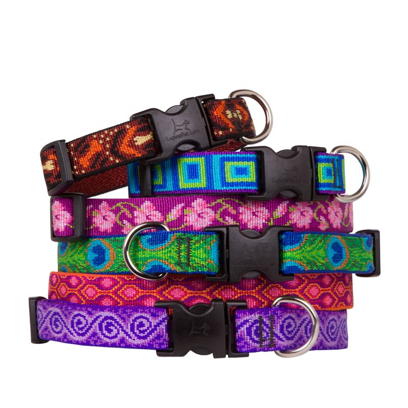 Lupine Snap Collar - Assorted - 3/4" Wide