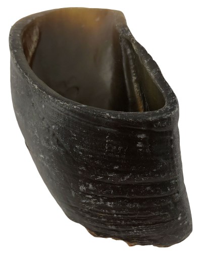 Made In South America - Dog Chew - Cow Hoof