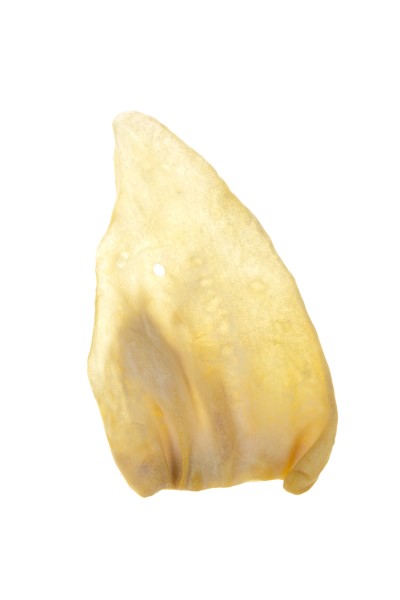 Made In South America Dog Chew - Puffed Cow Ear