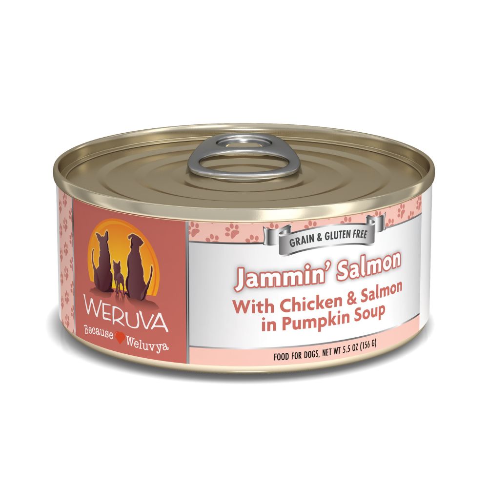 Weruva Wet Dog Food - Jammin' Salmon-Case of 24