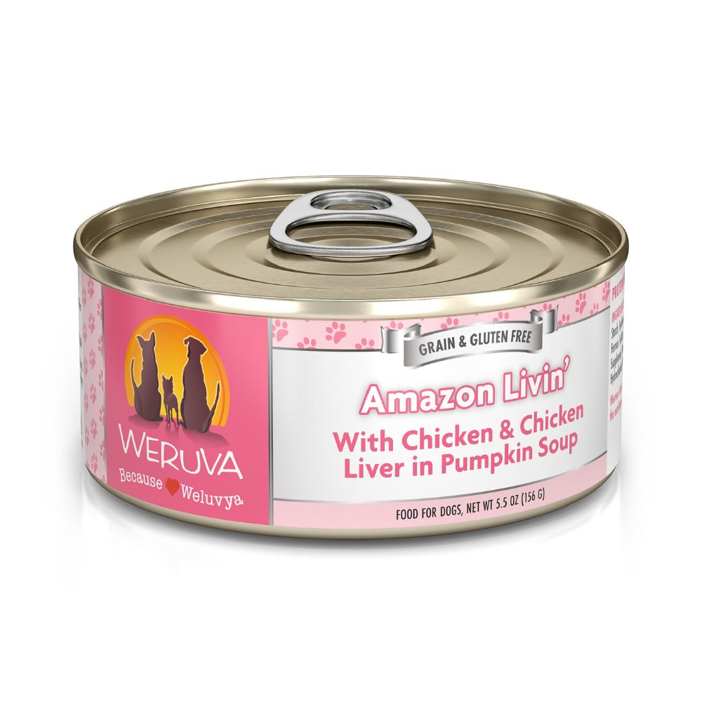 Weruva Wet Dog Food - Amazon Livin with Chicken in Pumpkin Soup-Case of 24