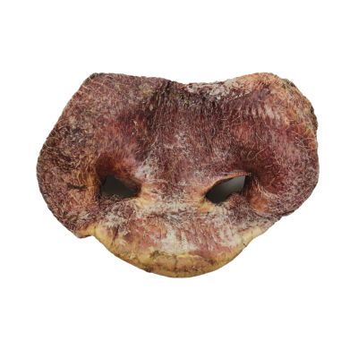 Vital Essentials - Freeze Dried Dog Treat - Pig Snouts