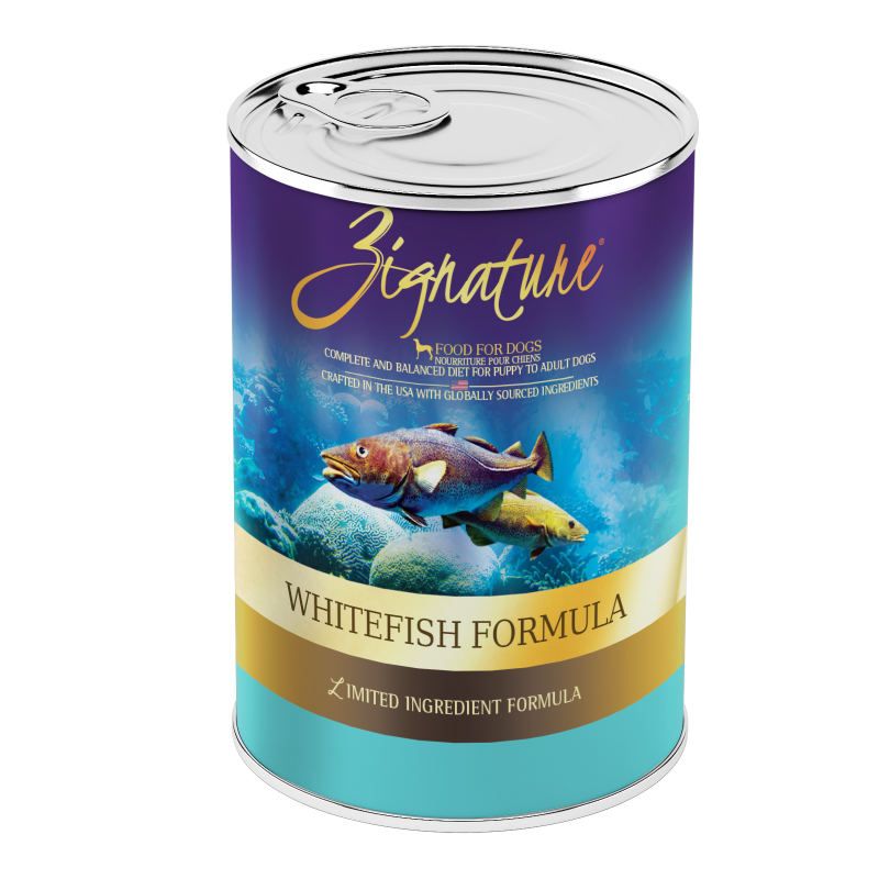Zignature Wet Dog Food Whitefish Case Of 12 | Hollywood Feed | Your