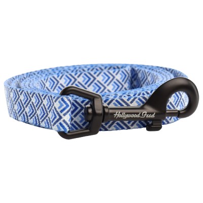 Ohio Made Nylon Dog Leash - Gradient Blue