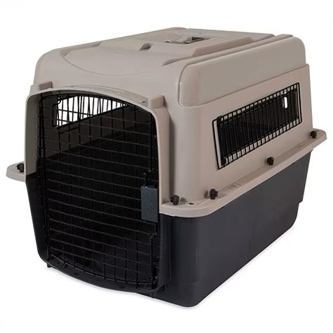 Kennel
