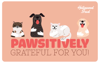 Hollywood Feed eGift Card-Pawsitively Grateful For You