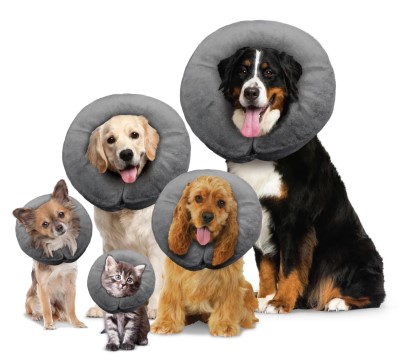Arlee Comfurt Collar Cone