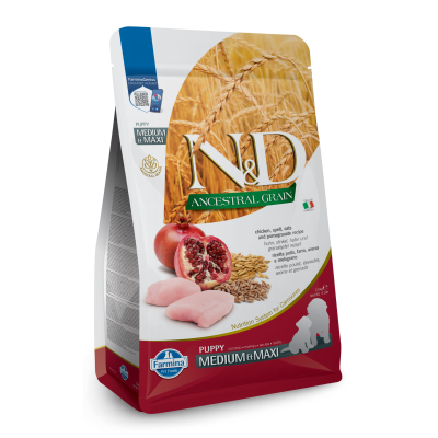 Dry Puppy Food