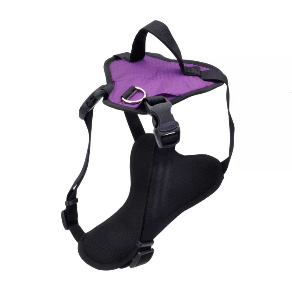 Coastal Inspire Adjustable Dog Harness - Padded Comfort with Control Handle & Secure Fit - Purple