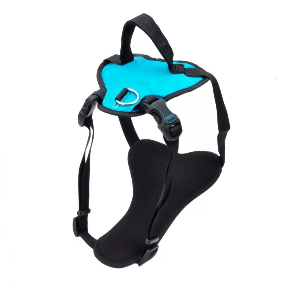 Coastal Inspire Adjustable Dog Harness - Padded Comfort with Control Handle & Secure Fit - Aqua