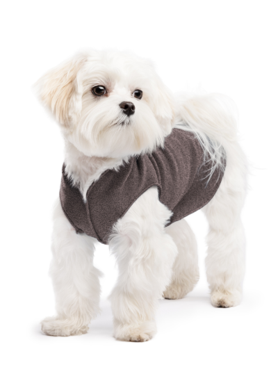 Gold Paw Dog Sweater - Grey Fleece